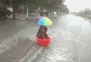 河北,千年古韵与现代活力的交融之地